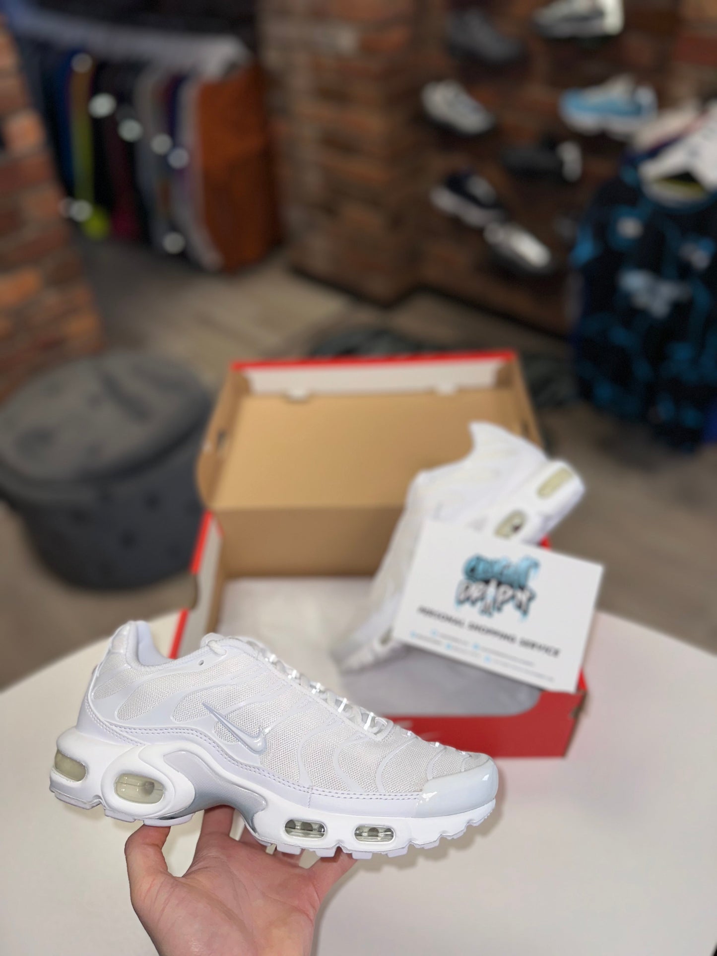 Nike Air Max Plus TN Triple White Platinum 2023