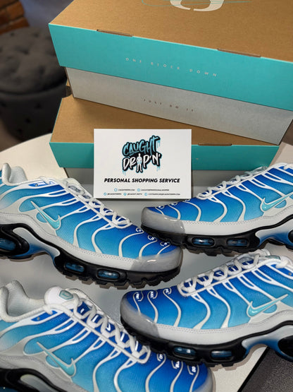 Nike Air Max Plus TN One Block Down | Light Photo Blue 2024