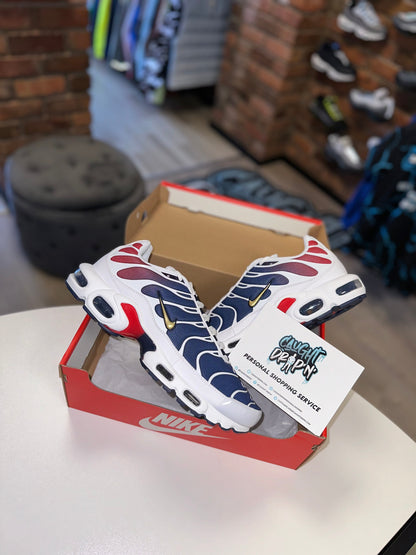 Nike Air Max Plus TN Paris PSG 2024