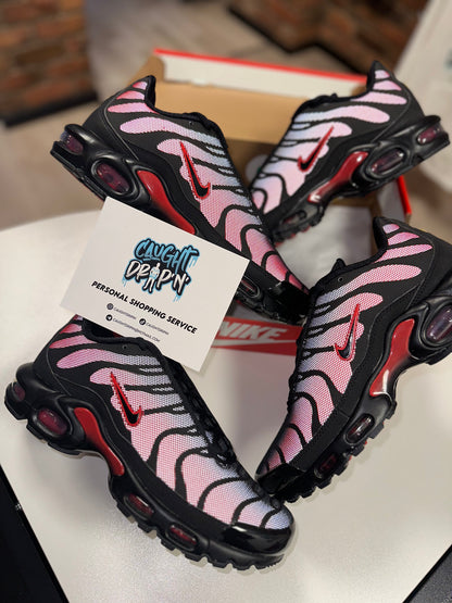 Nike Air Max TN Bred Reflectives 2022