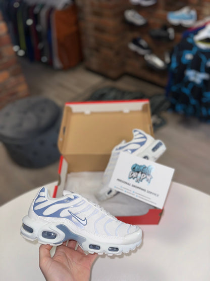 Nike Air Max Plus TN Ashen Slate 2023