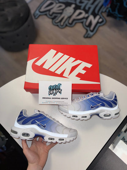 Nike Air Max Plus TN White | Royal Blue Fade 2023