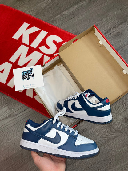 Nike Dunk Low Valerian Blue