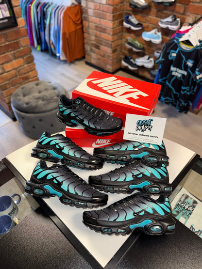 Nike Air Max Plus TN Black, Dusty Cactus 2025