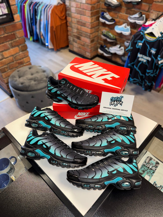 Nike Air Max Plus TN Black, Dusty Cactus 2025