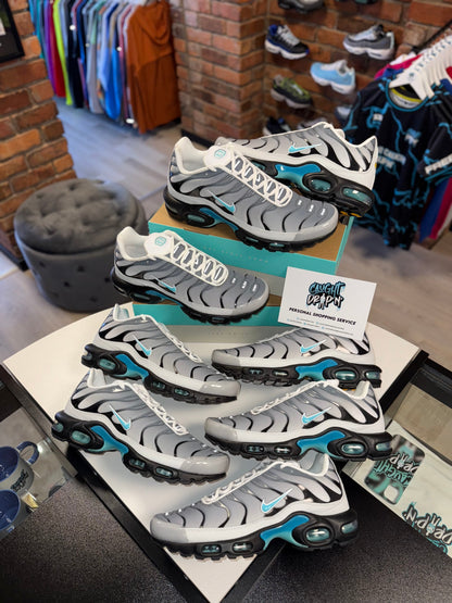 Nike Air Max Plus TN One Block Down | Matte Silver, Turquoise 2024