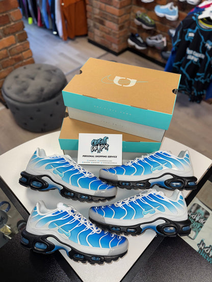 Nike Air Max Plus TN One Block Down | Light Photo Blue 2024