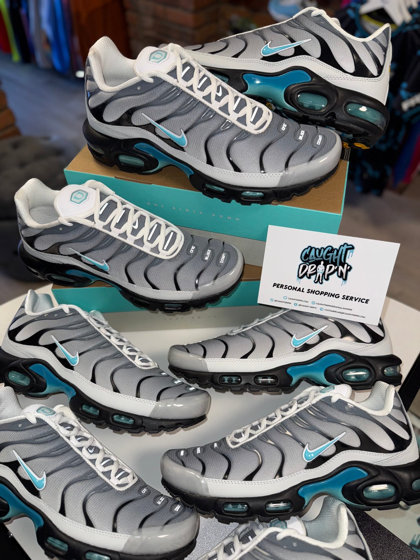 Nike Air Max Plus TN One Block Down | Matte Silver, Turquoise 2024