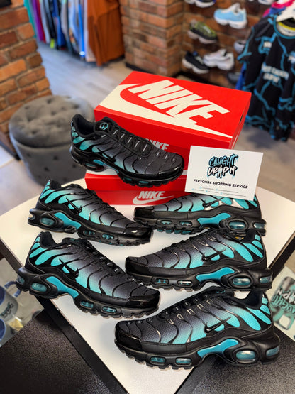 Nike Air Max Plus TN Black, Dusty Cactus 2025