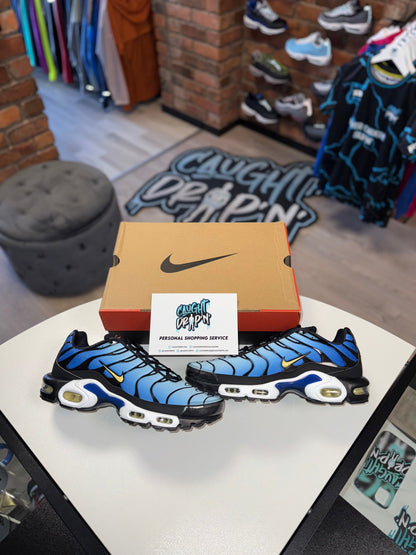 Nike Air Max Plus TN OG Hyper Royal 2025