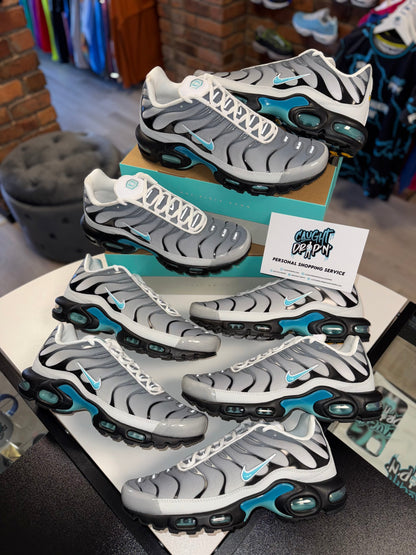 Nike Air Max Plus TN One Block Down | Matte Silver, Turquoise 2024