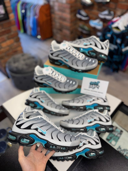 Nike Air Max Plus TN One Block Down | Matte Silver, Turquoise 2024