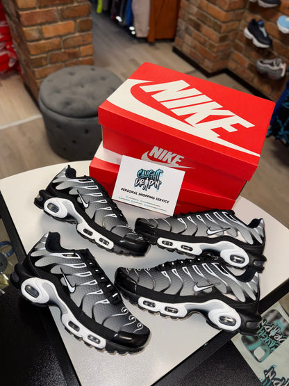 Nike Air Max Plus TN Black | Metallic Silver 2022