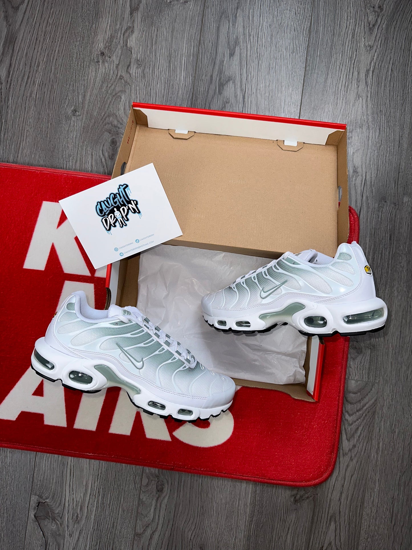 Nike Air Max Plus TN White Mints 2022