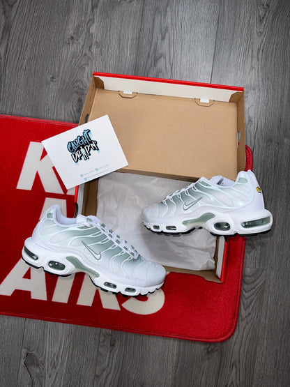 Nike Air Max Plus TN White Mints 2022