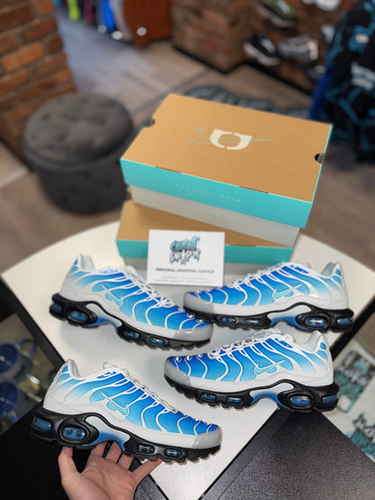 Nike Air Max Plus TN One Block Down | Light Photo Blue 2024