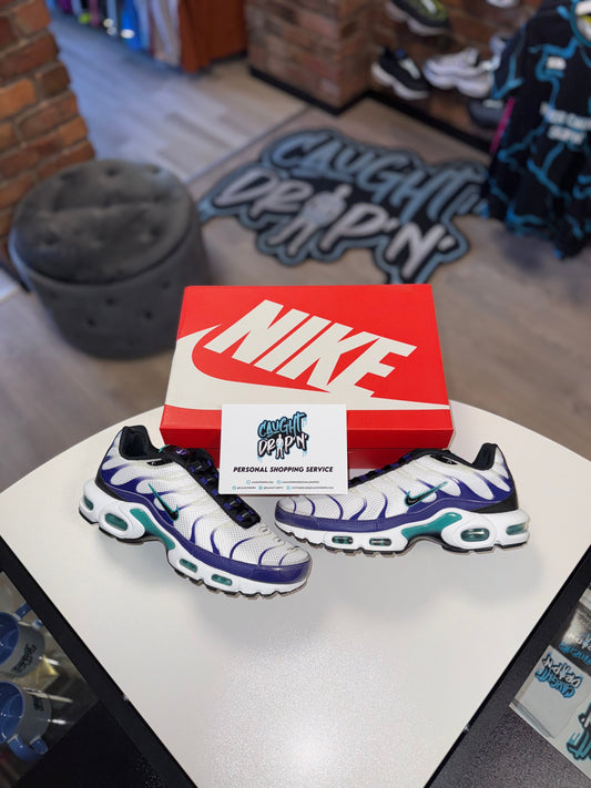 Nike Air Max Plus TN White | Grape Ice 2022