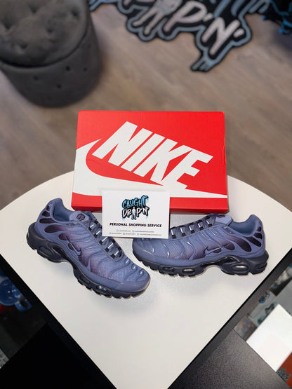 Nike Air Max Plus TN Indigo Fade