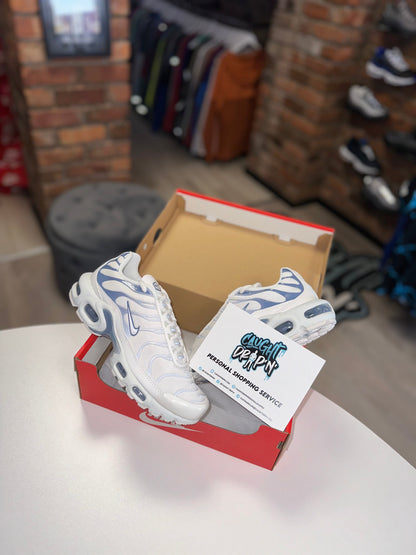 Nike Air Max Plus TN Ashen Slate 2023