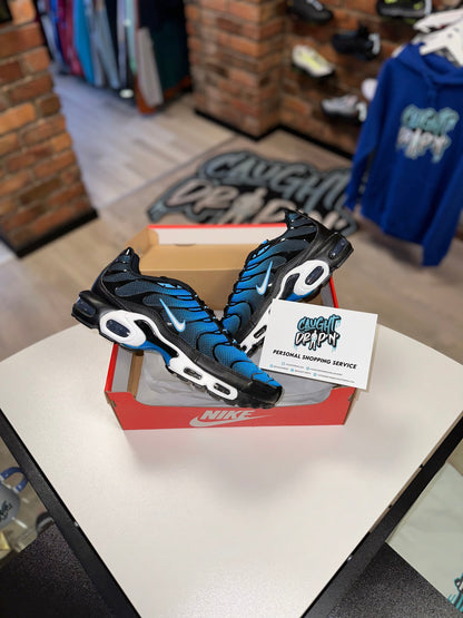 Nike Air Max Plus TN Aquarius Blue 2023