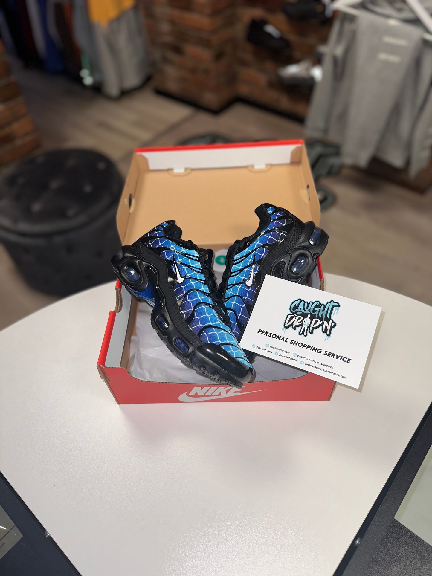 Nike Air Max Plus TN Blue Grid GS 2023