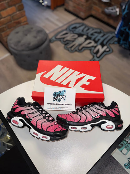 Nike Air Max Plus TN Pink Foam 2024