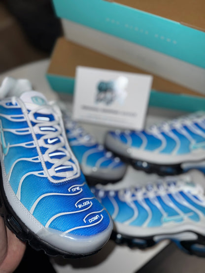 Nike Air Max Plus TN One Block Down | Light Photo Blue 2024