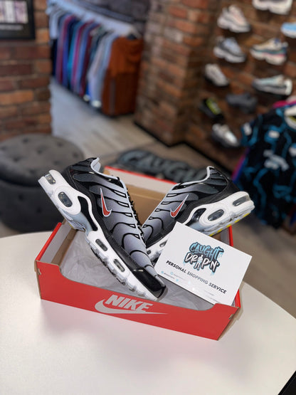 Nike Air Max Plus TN Blue Tint | Red 2023