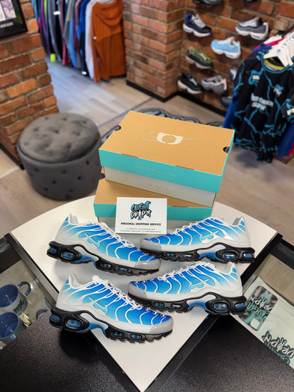 Nike Air Max Plus TN One Block Down | Light Photo Blue 2024