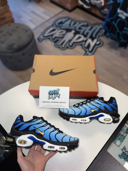 Nike Air Max Plus TN OG Hyper Royal 2025