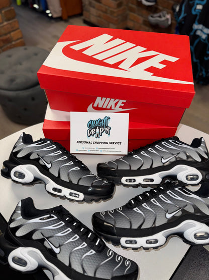 Nike Air Max Plus TN Black | Metallic Silver 2022