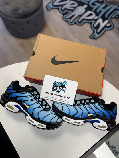 Nike Air Max Plus TN OG Hyper Royal 2025