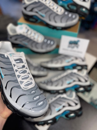 Nike Air Max Plus TN One Block Down | Matte Silver, Turquoise 2024